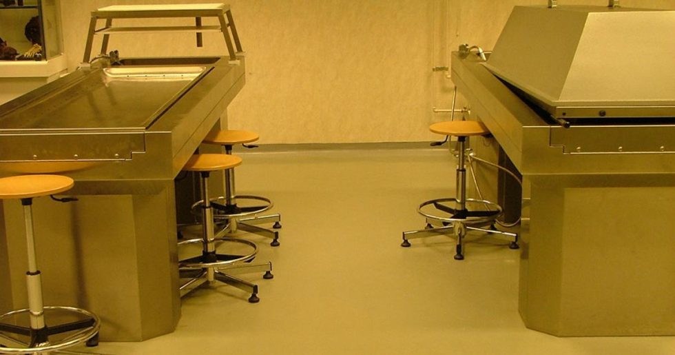 Απ’ τους νεκρούς, στη μούρη μας